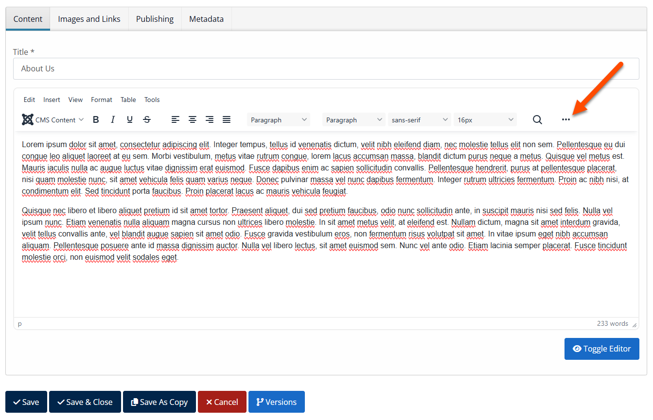 Editor