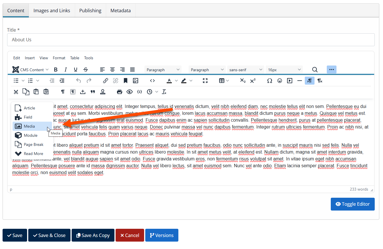 Embed Images