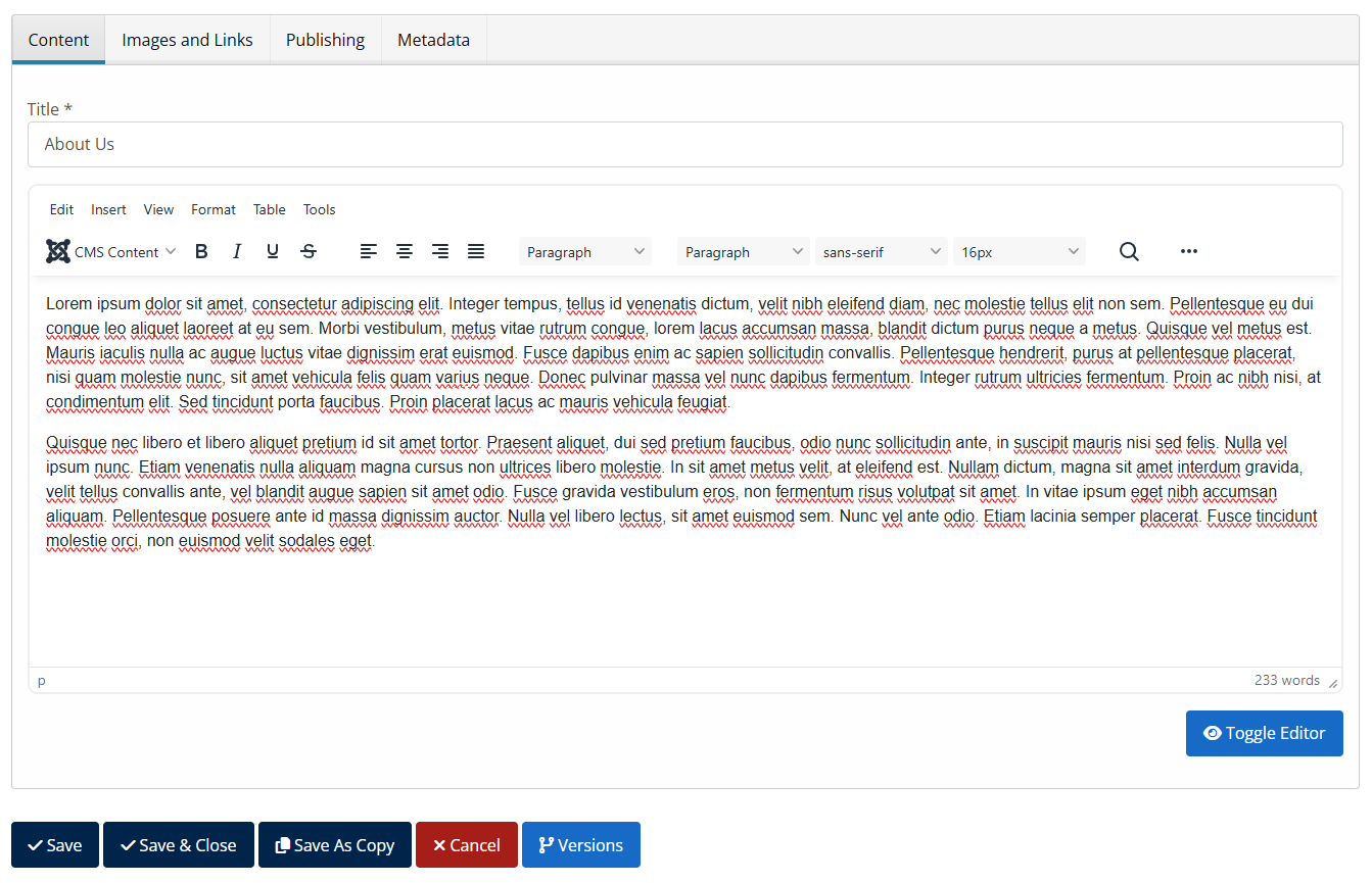 Editor
